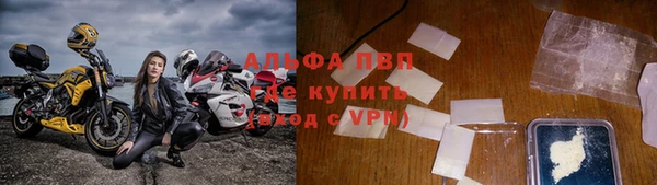 ПСИЛОЦИБИНОВЫЕ ГРИБЫ Коряжма