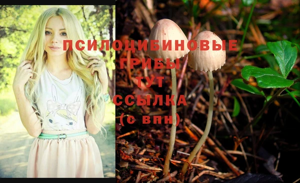 ПСИЛОЦИБИНОВЫЕ ГРИБЫ Коряжма