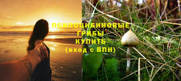 ПСИЛОЦИБИНОВЫЕ ГРИБЫ Коряжма