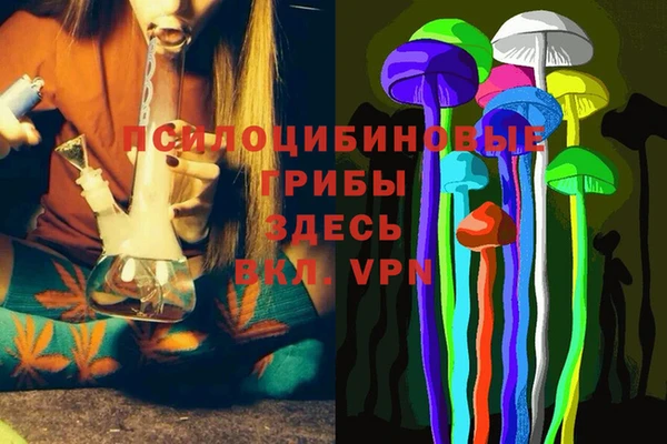 дурь Корсаков