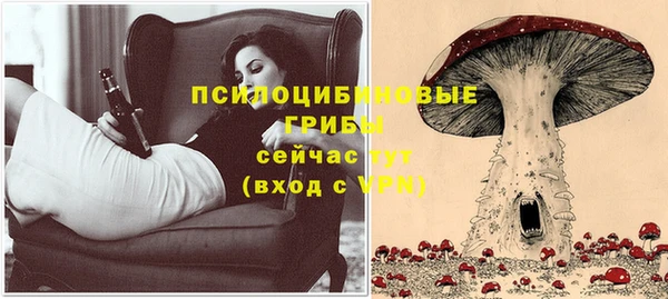 дурь Корсаков