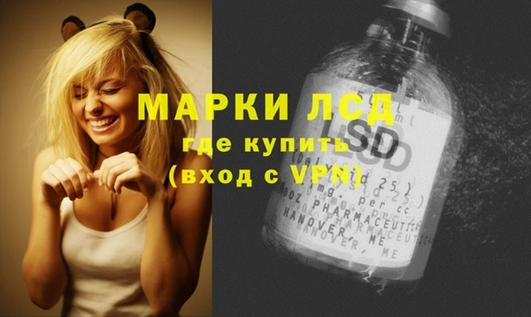 ПСИЛОЦИБИНОВЫЕ ГРИБЫ Коряжма